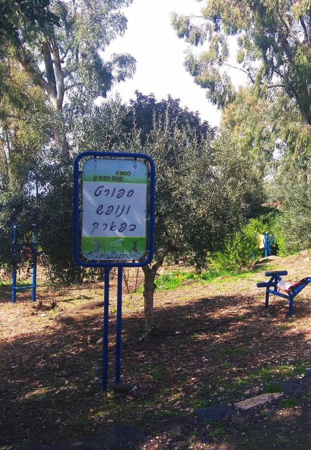 בודד בגליל העליון Kefar Szold