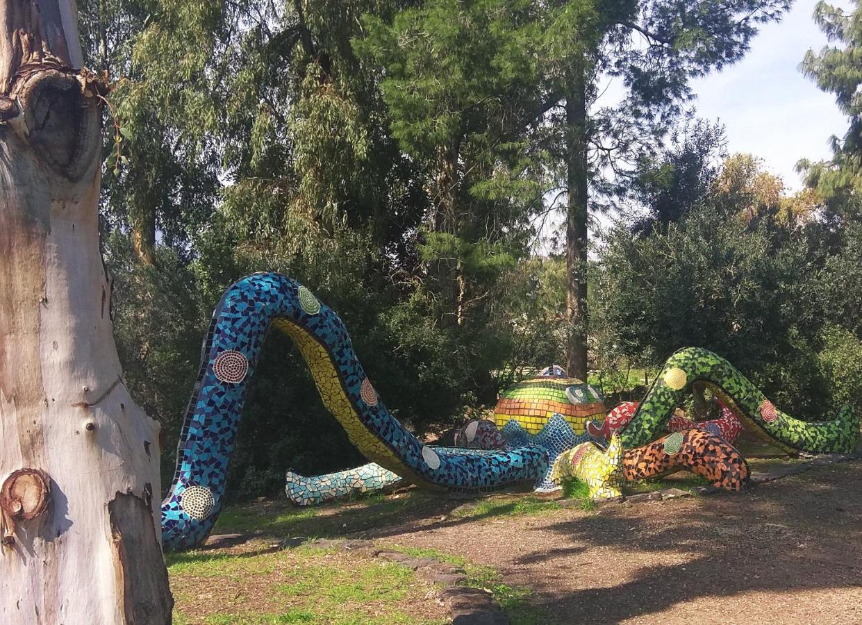 בודד בגליל העליון Kefar Szold