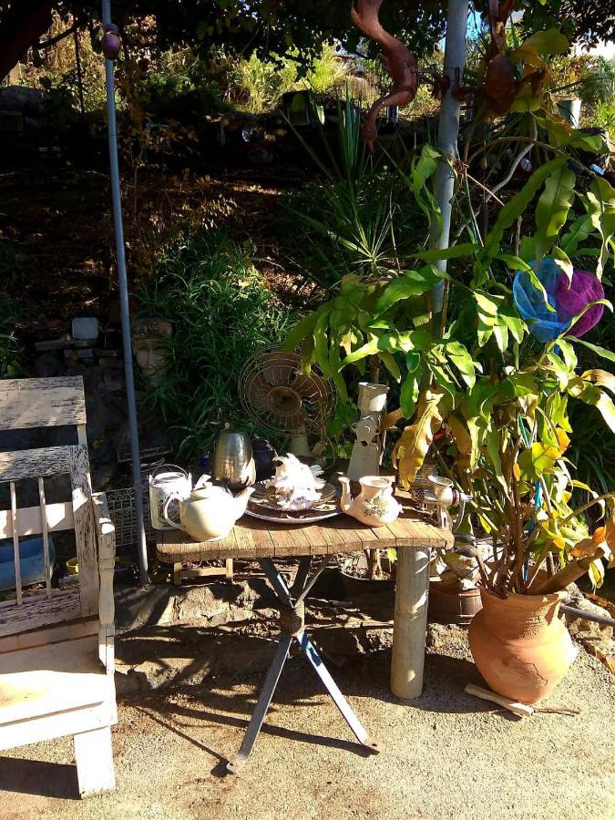בודד בגליל העליון Apartment