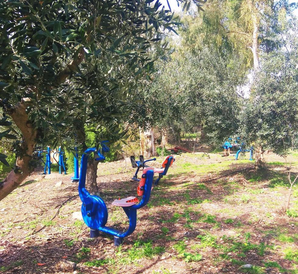 בודד בגליל העליון Appartement *